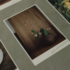 椿野恵里子 2026年ポストカードセット