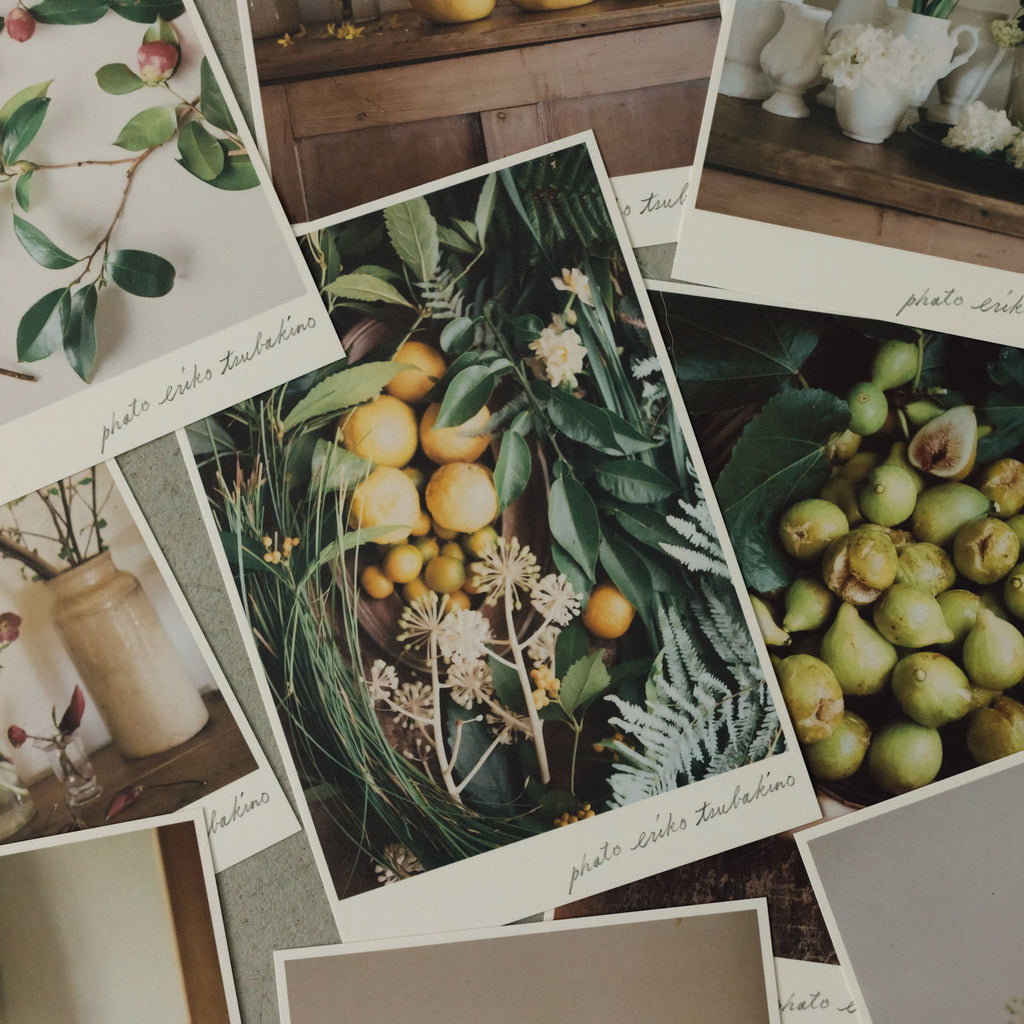 椿野恵里子 2026年ポストカードセット