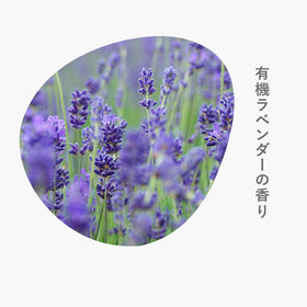sonett ナチュラルウォッシュリキッド（洗濯用）
